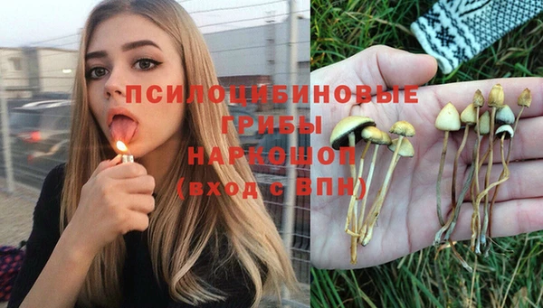 jwh Богородск