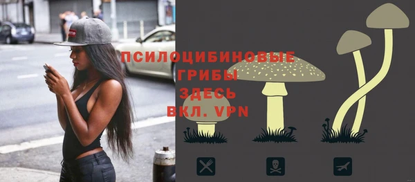 PSILOCYBIN Богородицк
