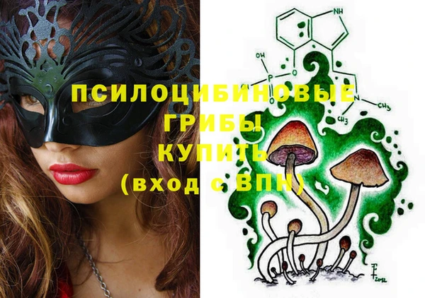 PSILOCYBIN Богородицк