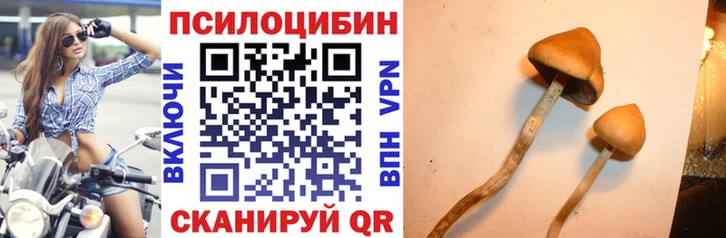 MEGA ONION  сайты даркнета официальный сайт  Галлюциногенные грибы Psilocybe  Можайск 